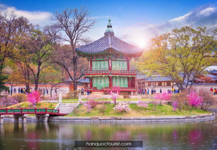 Tour Ninh Bình 3 ngày 2 đêm